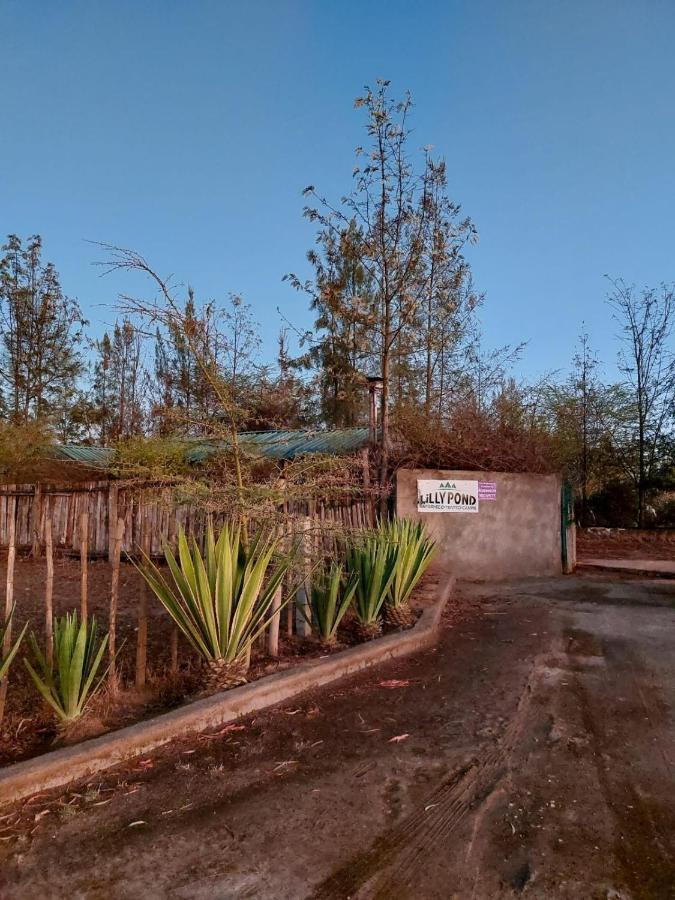 Отель Lillypond Camp Elmenteita Экстерьер фото